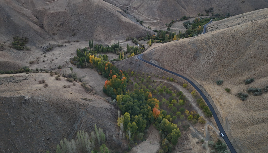 Babasından kalan ceviz bahçesinden 8 ton ürün aldı Babasından kalan ceviz bahçesinden 8 ton ürün aldı