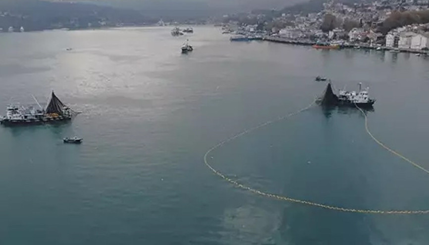 İstanbul Boğazında balık soykırımı iddiasına DMMden yalanlama