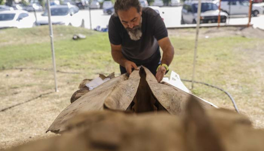 6 günün sonunda toprak altından çıkarıldı 2026 yılında herkes görecek | Artık kemiklerin birleştirilmesi süreci başlıyor