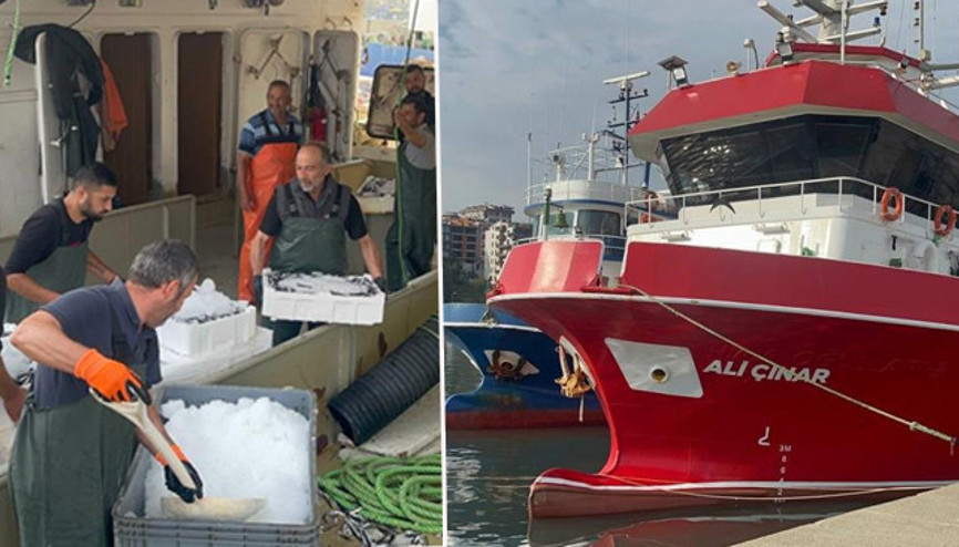 Karadenizden kasalarca çıktı Fiyatı 150 lira birden düştü