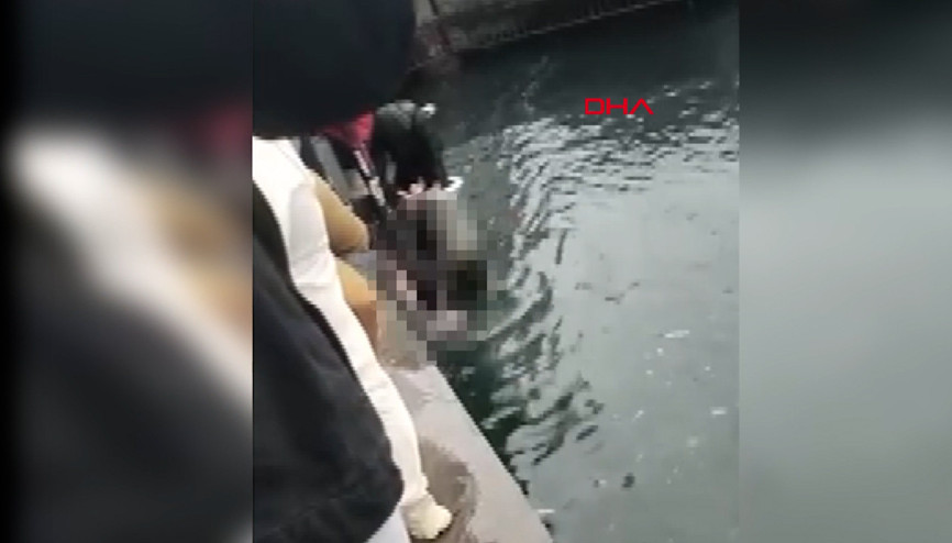 Kadıköy’de acı haber 4 engelli kişi denize düştü, 1i hayatını kaybetti