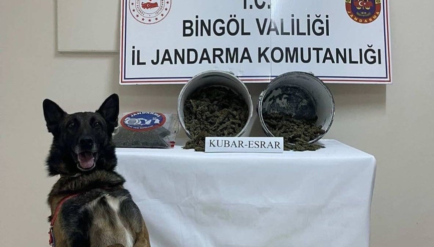 Bingöl’de uyuşturucu operasyonunda 1 tutuklama Bingöl’de uyuşturucu operasyonunda 1 tutuklama