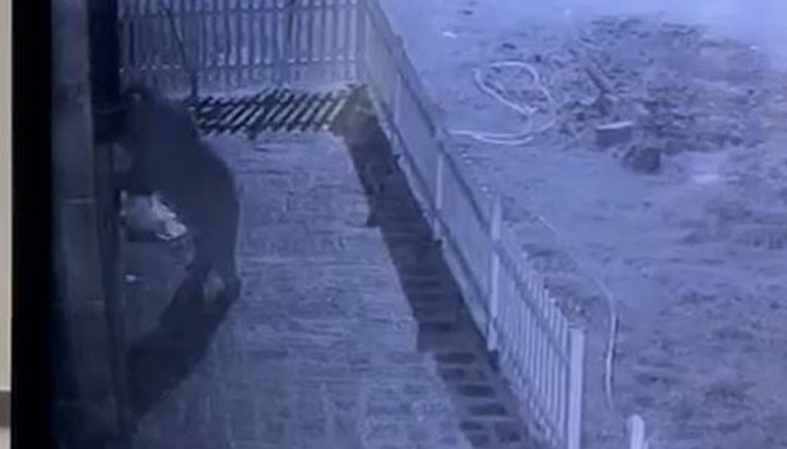 Hırsızlardan şüphelendi, gerçeği güvenlik kamerasıyla öğrendi Hırsızlardan şüphelendi, gerçeği güvenlik kamerasıyla öğrendi