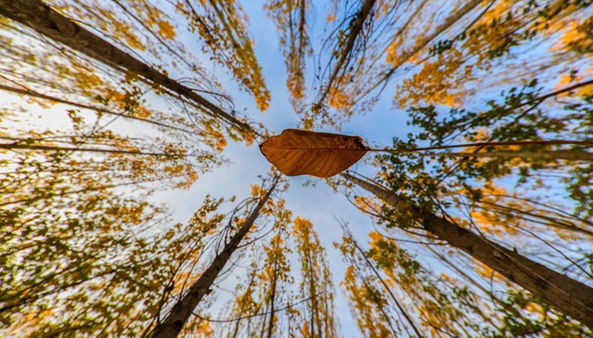 Kartpostallık manzaralar... Erzincanın dağlarında renk cümbüşü