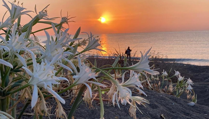 Koparmanın cezası 2 milyon 800 bin TL olacak Öğrenciler koruma için kolları sıvadı Koparmanın cezası 2 milyon 800 bin TL olacak Öğrenciler koruma için kolları sıvadı
