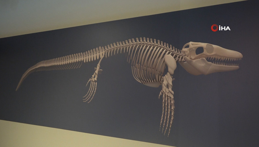 Türk profesör, Asyada ilk kez keşfedilen denizlerin dinozorunu anlattı
