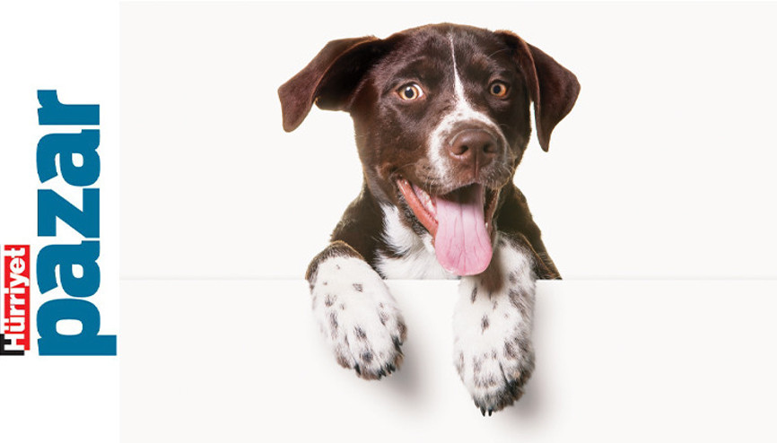 ‘Yaşamaya değer hayatlar sağlayacak kaynaklara sahip miyiz’