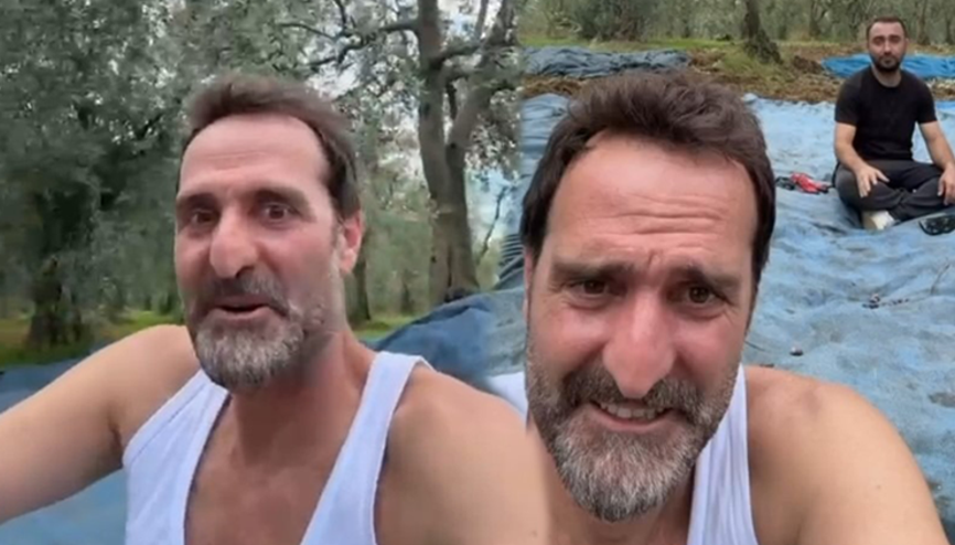 Ünlü oyuncu İznikte arsa aldı... İlk zeytin hasadını yaptı