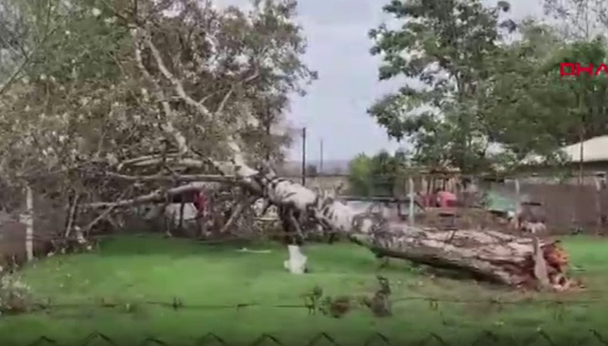 Bursada lodos hayatı olumsuz etkiledi; ağaçlar devrildi, çatılar uçtu
