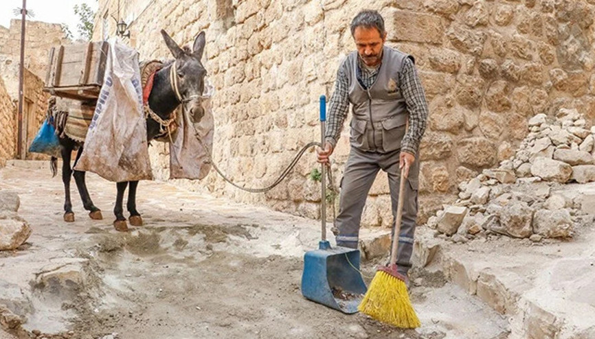 7 yıl çalışıp emekli oluyorlar Kadrolu eşekler yıllardır sokak sokak geziyor | Artık kademeli olarak ayrılacaklar