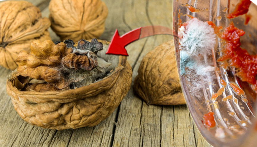 Zararsız gibi görünüyor ama hayati organları harap ediyor Kronik maruziyet karaciğer kanseri nedeni | Koklamak bile riskli