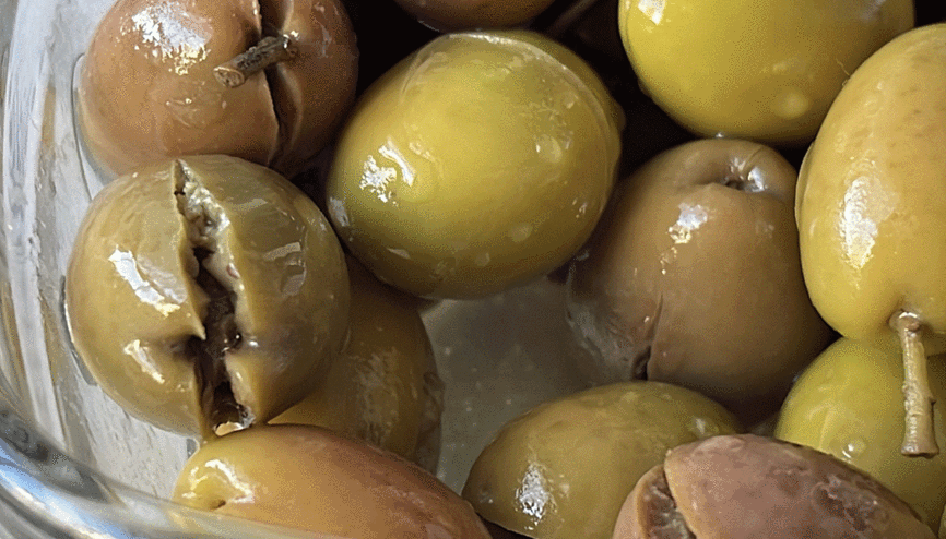 Edremit Körfezinde kırma zeytin mesaisi başladı