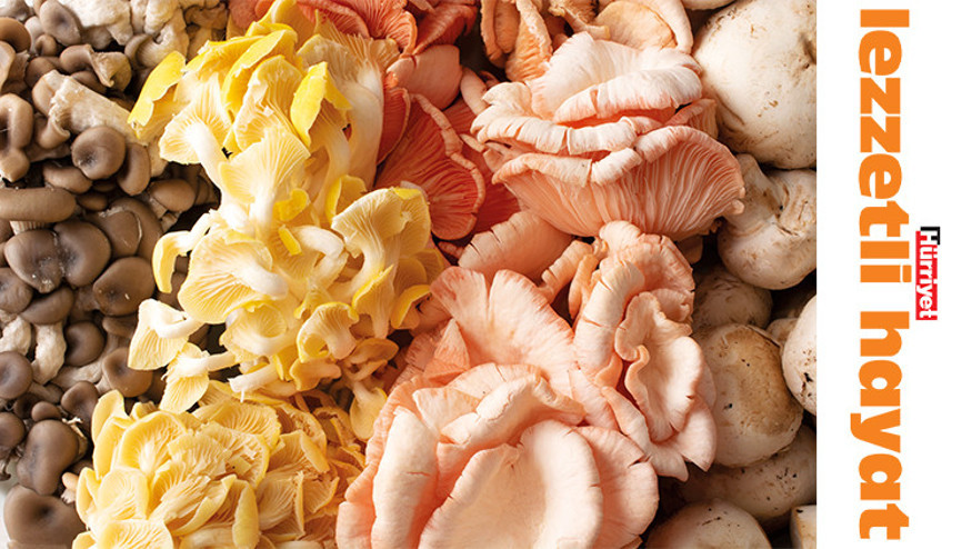 Sonbaharın kıymetlisi, doğanın soframıza hediyesi