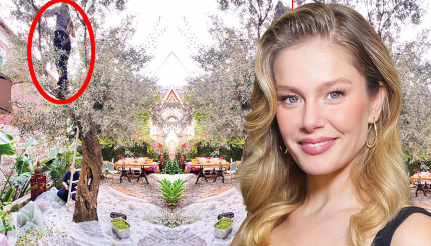 Ünlü oyuncu ağaç tepelerine çıktı... Zeytin hasadı yaptı