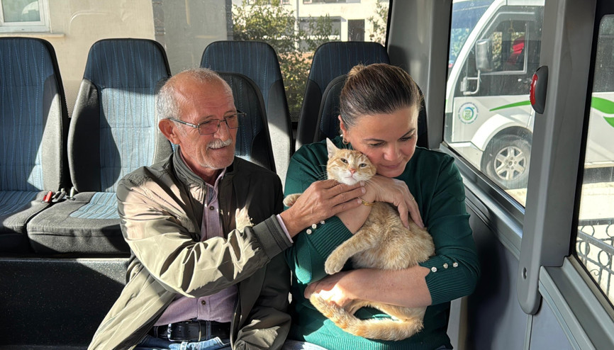 Yolcu isimli kedi, tedavi edildiği dolmuş durağının maskotu oldu