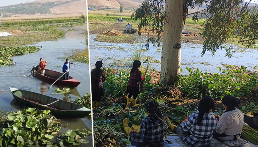 Asi Nehri ve Gölbaşı Gölü’nü kaplıyor Kadınlar tarafından toplanıyor: Yeniden doğuş hikayesi olacak