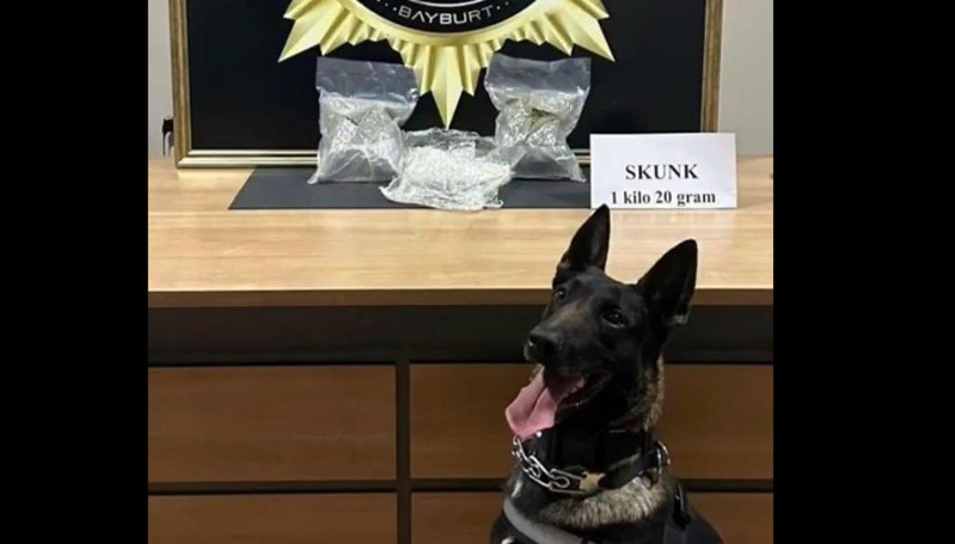 Otobüste yapılan aramada bavula yerleştirilmiş 1 kilo 20 gram skunk ele geçirildi Otobüste yapılan aramada bavula yerleştirilmiş 1 kilo 20 gram skunk ele geçirildi