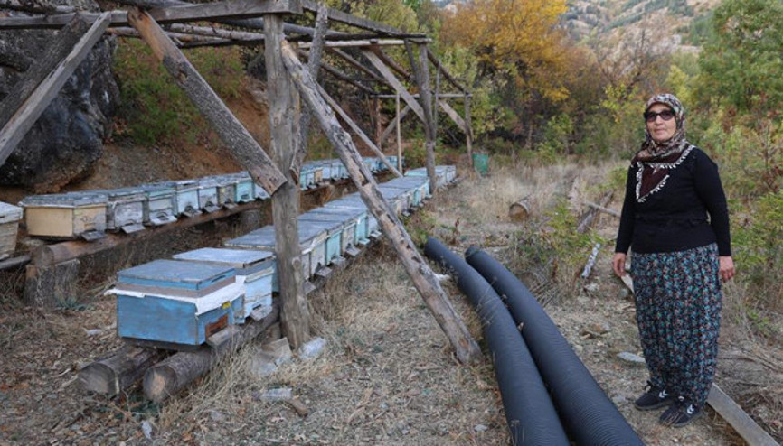 Bölgede sıcaklık 30 derecenin üzerinde Kışlama için gelmiyorlar | Bu yıl ilk kez gördüm, gerçekleşmezse kayıplar artacak