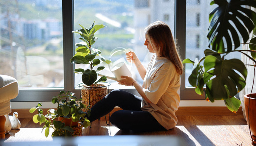 Sadece dekor değil, hayat kurtarıyorlar Evinizde bu bitkiler yoksa farkında olmadan sağlığınızı riske atıyorsunuz…