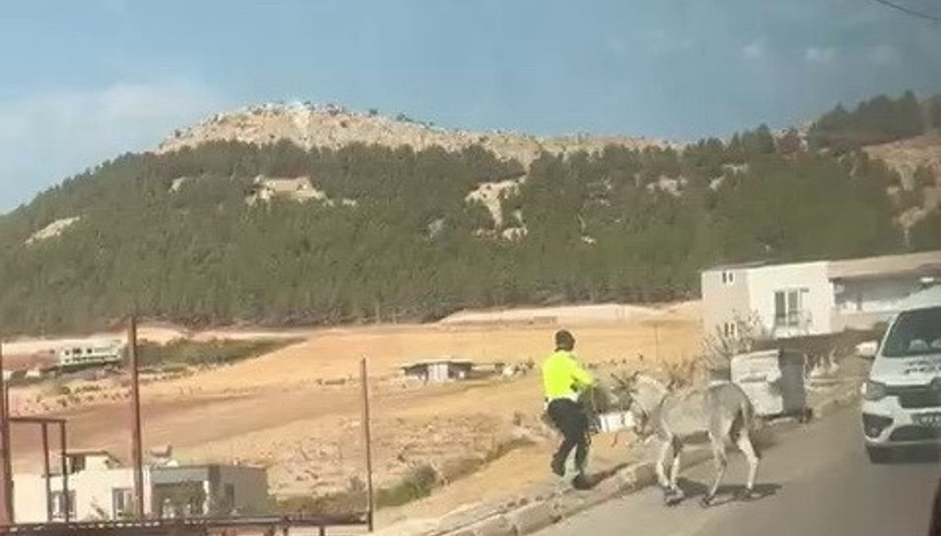 Kazaya davetiye çıkaran eşeğe polis müdahale etti
