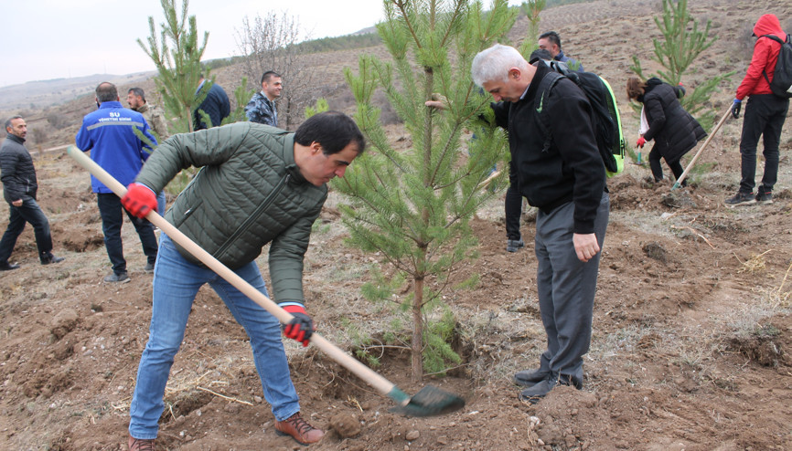 Sivasta 58 bin fidan toprakla buluşturuldu