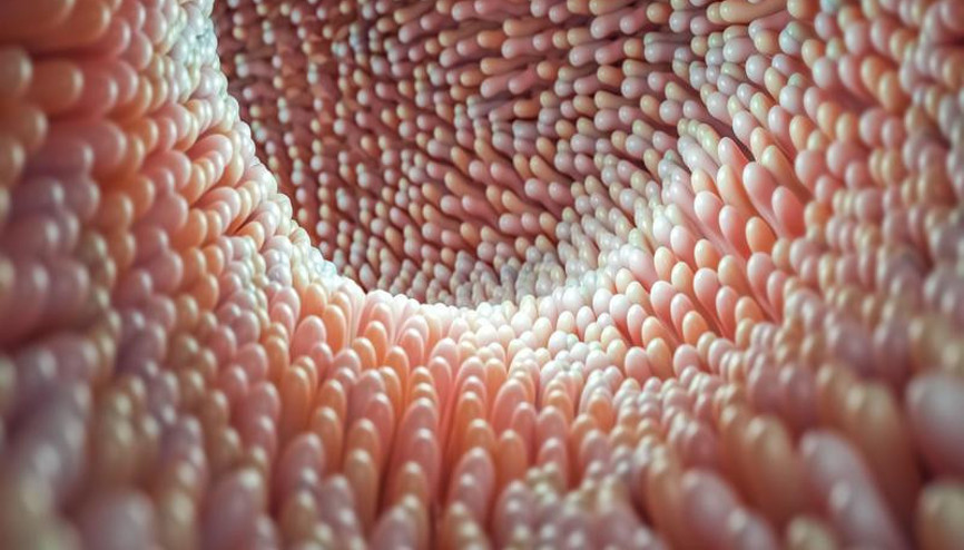 Bir organ kadar önemli Dengesi bozulursa hasta ediyor