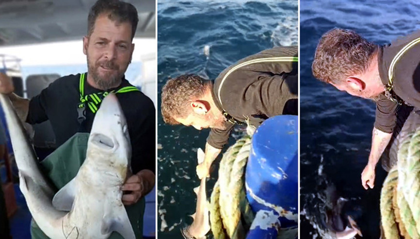 Ağına takılan camgöz köpek balığını yeniden denize bıraktı