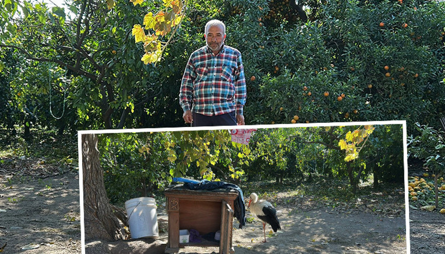 Hataylı vatandaş bahçede buldu: Kümeste tavuklarla birlikte yaşıyor