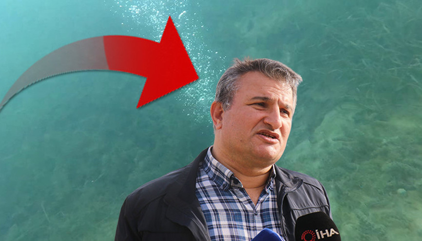 Sapancadaki görüntü endişeye neden olmuştu: Gölün dibine dalındı | Uzman isimden çarpıcı deprem açıklaması Sapancadaki görüntü endişeye neden olmuştu: Gölün dibine dalındı | Uzman isimden çarpıcı deprem açıklaması