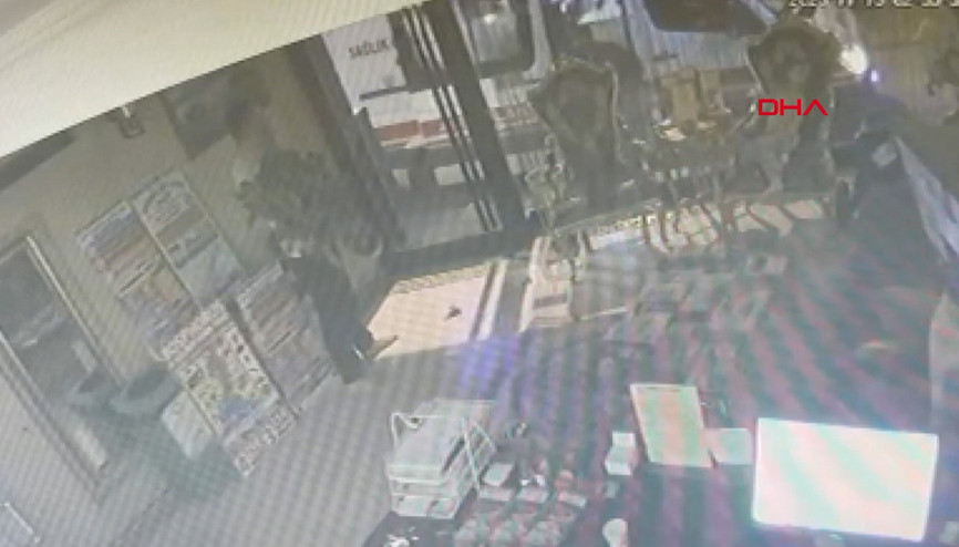 Böcek ailesinin otelde kilitli kaldığı anlar güvenlik kamerasına yansıdı