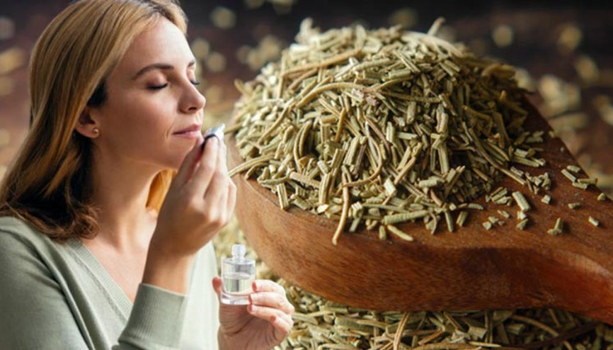 Hepsi birer gizli enerji kaynağı… Bu 3 koku hafızanızı canlandırıyor