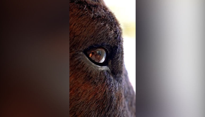 Sanat ile teknolojiyi buluşturan kahve