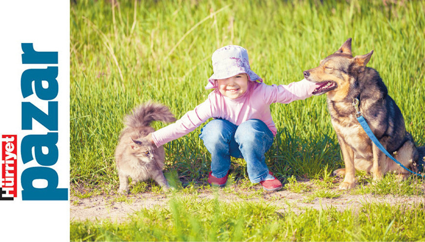 Kedi ve köpeklerin sağlığı için 6 önemli konu