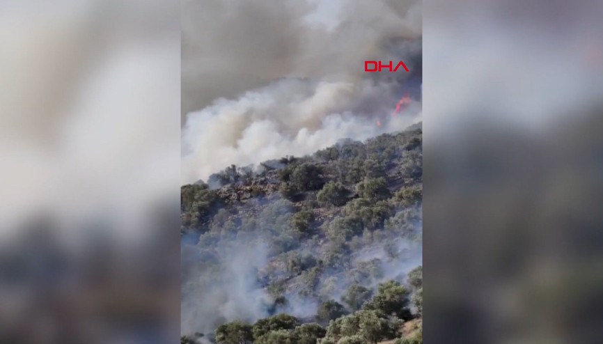 Bozdoğanda orman yangını