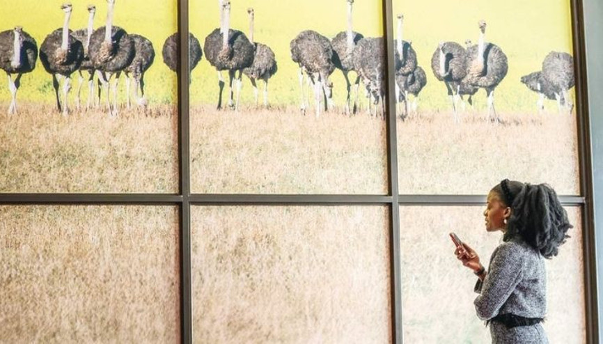 Afrika’daki ilk zirve