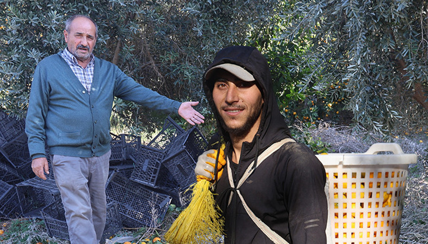 Bahçede 2, markette 30 lira | Fiyatı sert düşünce vatandaşa ücretsiz dağıttılar