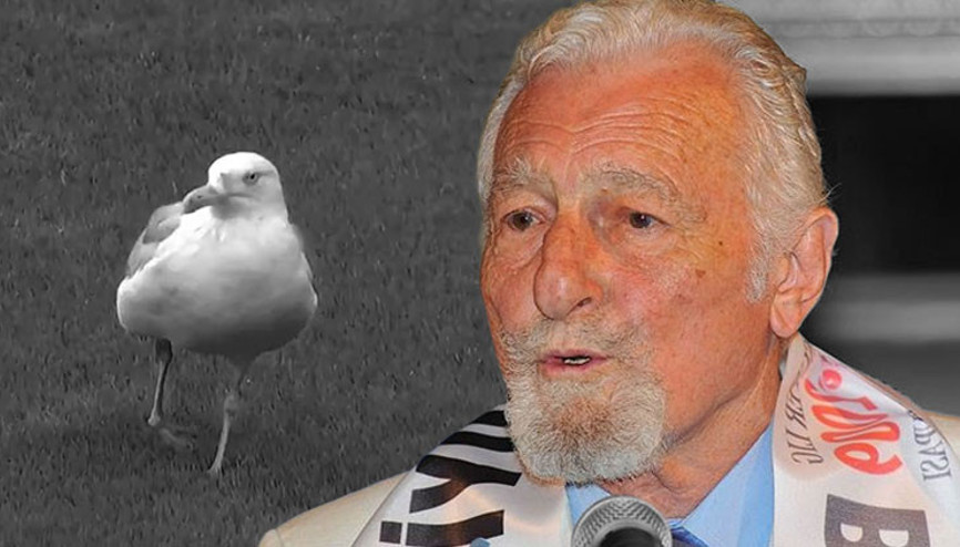 Dolmabahçedeki maçta martı sürprizi: Süleyman Sebanın sözleri akıllara geldi