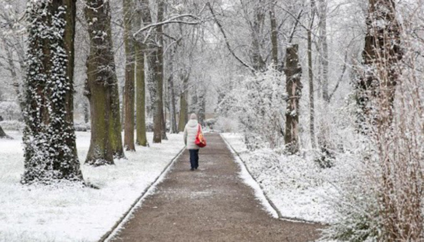 Almanyada hayat felç: Kar ve buzlanma can aldı