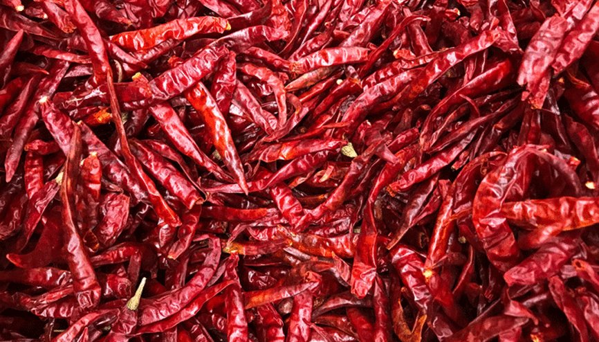 Hasta olmak istemeyen bol bol yesin