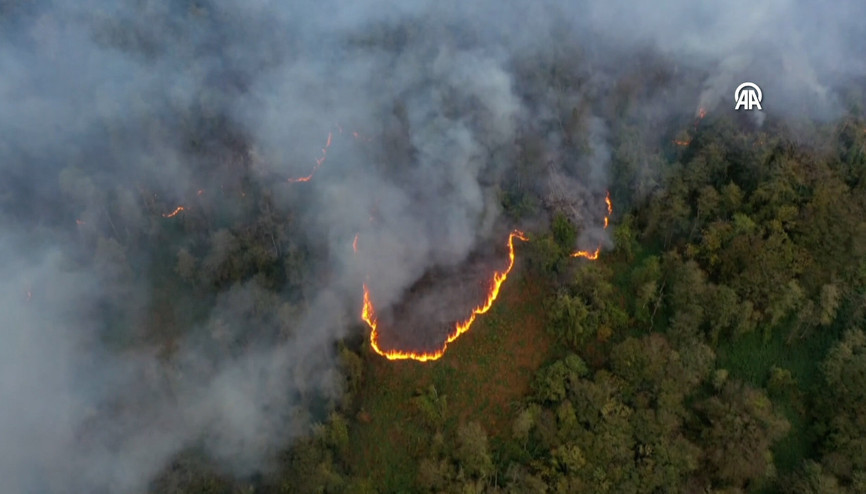 Artvindeki örtü yangını kontrol altına alındı