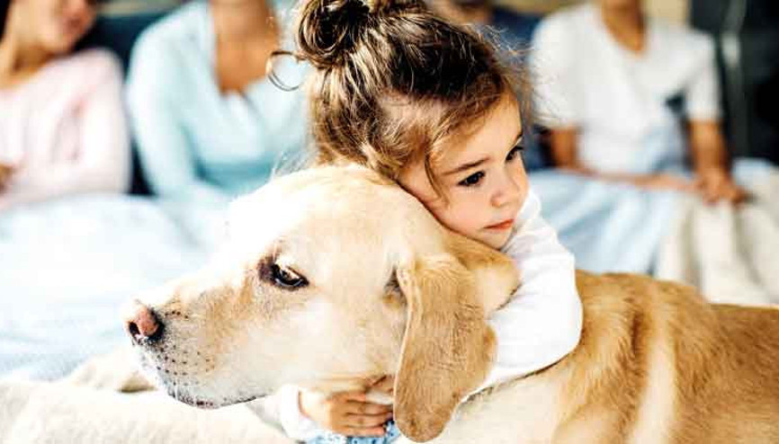 AYM gerekçesi: Takdir Meclis’in