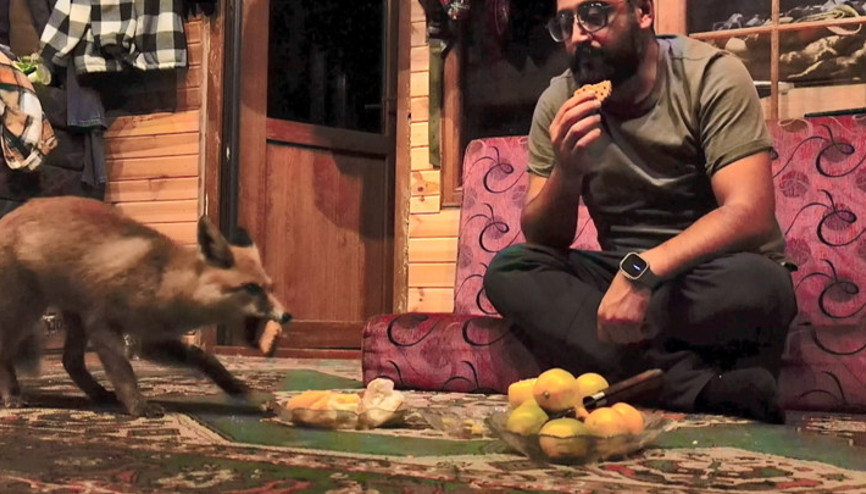 Beslediği tilkiye ‘Tilko’ ismini verdi... Ekmeği ve bisküviyi çok seviyor