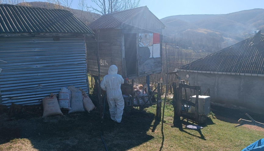 Ordu’da kahverengi kokarcayla mücadele için 50 bin kışlak ilaçlandı