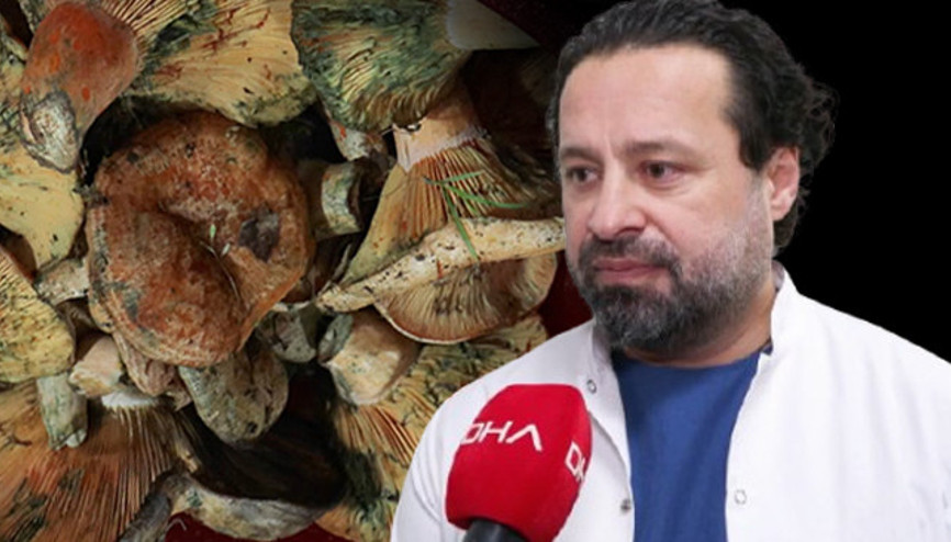 İstanbulda 60 kişiyi zehirledi: Yedikten 5 saat sonra etkisi başlıyor Uzmanı uyardı: Yok edici melek gibi isimler koymuşlar