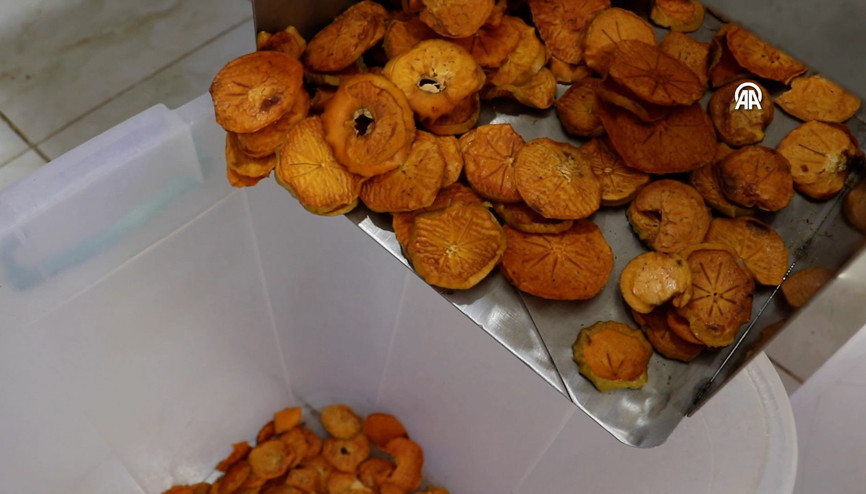 Devlet desteğiyle Trabzon hurması cipsi üreten kadın girişimci, istihdam ve kapasitesini artırdı