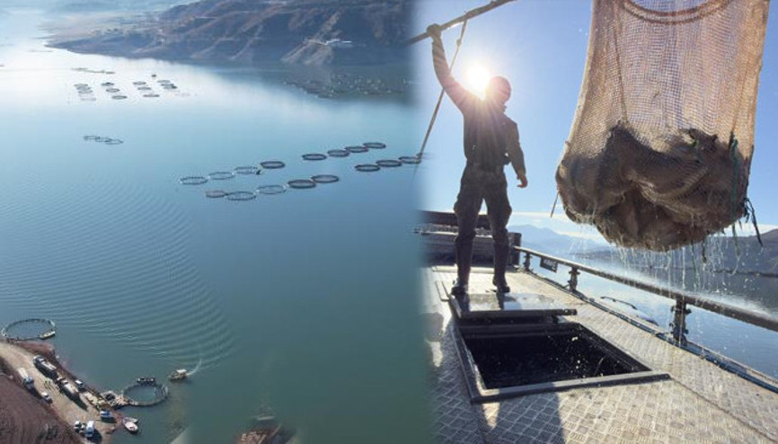 Denizi olmayan kentte yetiştiriliyor Avrupa ve Uzak Doğu ülkelerine gönderiliyor