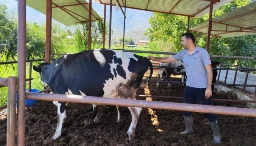 Muğlanın Milas ilçesinde 11 mahalle karantinaya alındı