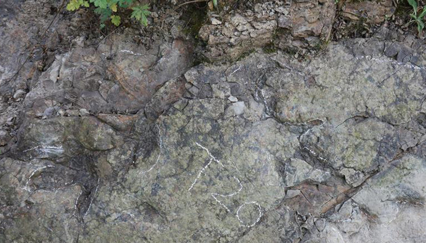 Çinde 200 milyon yıllık dinozor ayak izleri keşfedildi