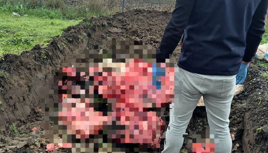 Tekirdağda menşei belli olmayan 1 ton hayvansal ürün imha edildi