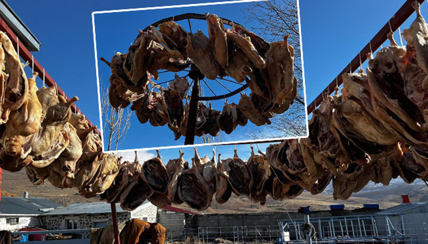 10 gün sonra göndermeye başlayacaklar: Talep patladı İlk İstanbula gelecek